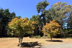 31290 Thomas Ln, Fort Bragg, CA 95437 - Photo 33