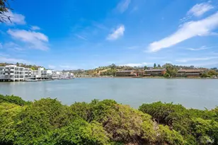 6052 Shelter Bay Ave, Mill Valley, CA 94941 - Photo 39