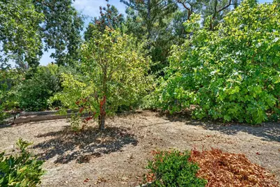 306 Whitethorn Court, Windsor, CA 95492 - Photo 43