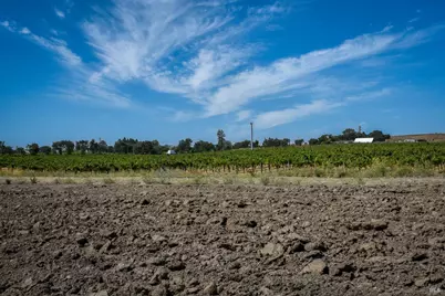 3316 Sonoma Highway, Napa, CA 94559 - Photo 47