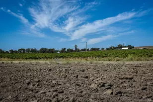 3316 Sonoma Hwy, Napa, CA 94559 - Photo 47