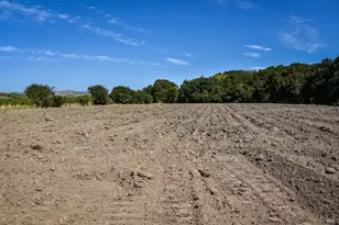 3316 Sonoma Hwy, Napa, CA 94559 - Photo 39