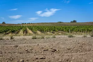 3316 Sonoma Hwy, Napa, CA 94559 - Photo 41