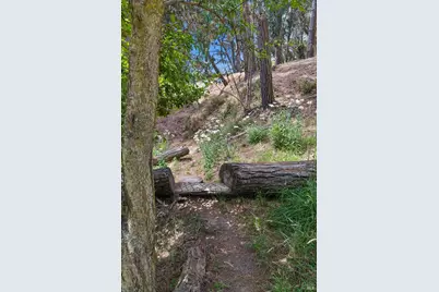 380 Larch Road, Bolinas, CA 94924 - Photo 21