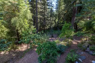 2132 Green Hill Rd, Sebastopol, CA 95472 - Photo 47