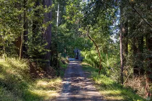 2132 Green Hill Rd, Sebastopol, CA 95472 - Photo 41
