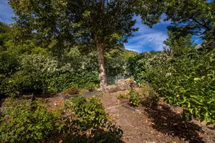 806 W Mill St, Ukiah, CA 95482 - Photo 25