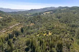 4100 Petrified Forest Rd, Calistoga, CA 94515 - Photo 71