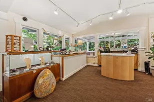 4100 Petrified Forest Rd, Calistoga, CA 94515 - Photo 13