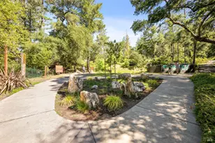 4100 Petrified Forest Rd, Calistoga, CA 94515 - Photo 59