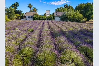 4550 Soda Bay Road, Kelseyville, CA 95451 - Photo 73