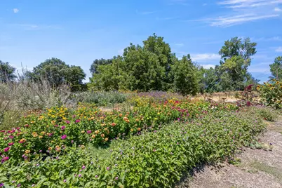 4550 Soda Bay Road, Kelseyville, CA 95451 - Photo 55