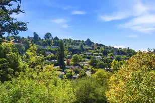 40 S Knoll Rd, Mill Valley, CA 94941 - Photo 27