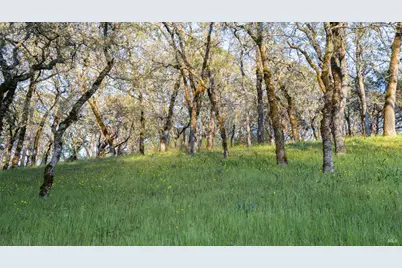 9206 Chalk Hill Road, Healdsburg, CA 95448 - Photo 41