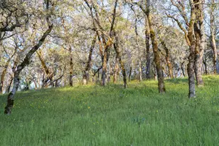 9206 Chalk Hill Rd, Healdsburg, CA 95448 - Photo 41