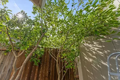 2850 Calaveras Drive, Fairfield, CA 94534 - Photo 43