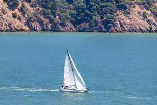 162 Solano St, Tiburon, CA 94920 - Photo 43