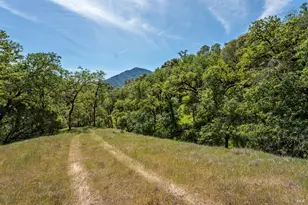 2800 Feliz Creek Rd, Hopland, CA 95449 - Photo 43