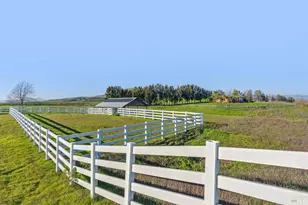 3030 Sears Point Rd, Sonoma, CA 95476 - Photo 9