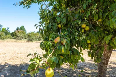 5140 Blank Road, Sebastopol, CA 95472 - Photo 47