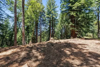 1401 Nicasio Valley Road, Nicasio, CA 94946 - Photo 13