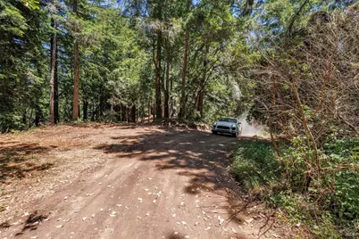 1401 Nicasio Valley Road, Nicasio, CA 94946 - Photo 5