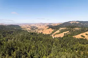 1401 Nicasio Valley Rd, Nicasio, CA 94946 - Photo 1