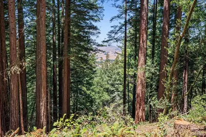 1401 Nicasio Valley Road, Nicasio, CA 94946 - Photo 19