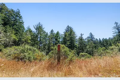 1401 Nicasio Valley Road, Nicasio, CA 94946 - Photo 23