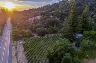 3588 N Silverado Trail, Saint Helena, CA 94574 - Photo 65