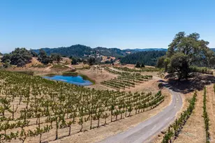 18115 Highlands Rdg Rd, Yorkville, CA 95494 - Photo 83