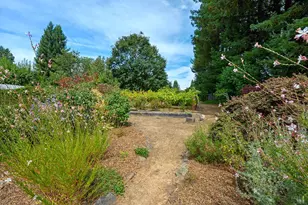 13190 Dupont Rd, Sebastopol, CA 95472 - Photo 23