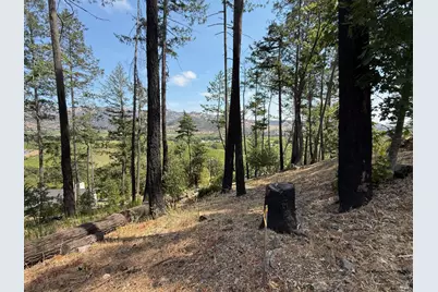 0 Tucker Road, Calistoga, CA 94515 - Photo 5