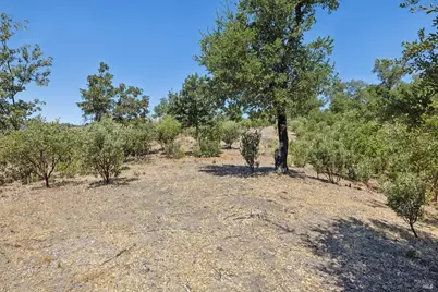 1128 Bennett Lane, Calistoga, CA 94515 - Photo 39