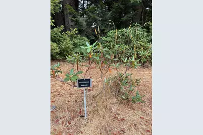 30000 Fort Bragg Sherwood Road, Fort Bragg, CA 95437 - Photo 37