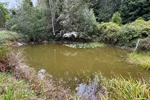 30000 Fort Bragg-Sherwood Rd, Fort Bragg, CA 95437 - Photo 33