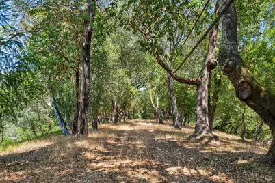 10 Fawn Ridge, Fairfax, CA 94930 - Photo 45
