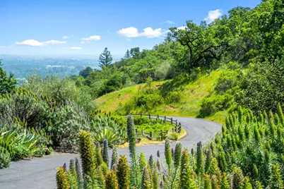 10 High Grove Lane, Sonoma, CA 95476 - Photo 7