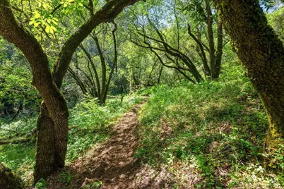 10 High Grove Lane, Sonoma, CA 95476 - Photo 9