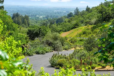 10 High Grove Lane, Sonoma, CA 95476 - Photo 11