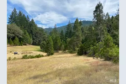 60731 Highway 271, Leggett, CA 95585 - Photo 3