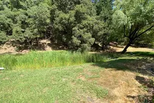 60731 Hwy 271, Leggett, CA 95585 - Photo 7