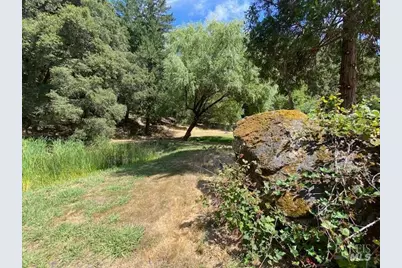 60731 Highway 271, Leggett, CA 95585 - Photo 7