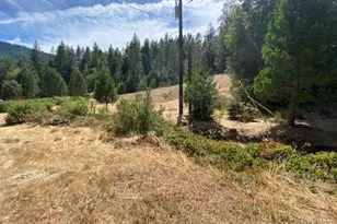 60731 Hwy 271, Leggett, CA 95585 - Photo 11