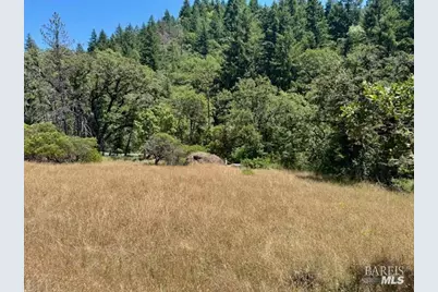 6355 First Gate Road, Willits, CA 95490 - Photo 9
