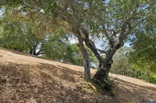 95 Windstone Dr, San Rafael, CA 94903 - Photo 43