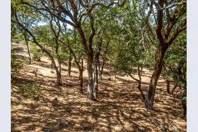 2869 Bristol Road, Kenwood, CA 95452 - Photo 13
