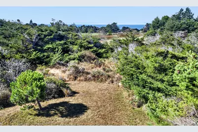 226 White Tail, The Sea Ranch, CA 95497 - Photo 29