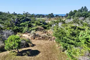 226 White Tail, The Sea Ranch, CA 95497 - Photo 29