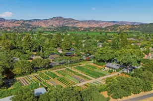 114 Vineyard Cir, Yountville, CA 94599 - Photo 5